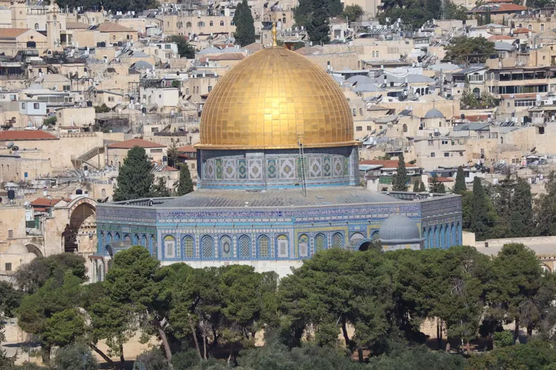 כיפת הסלע המוזהבת מעל גגות העיר העתיקה, במבט מהר הזיתים, ושורת עצי אורן בחזית.