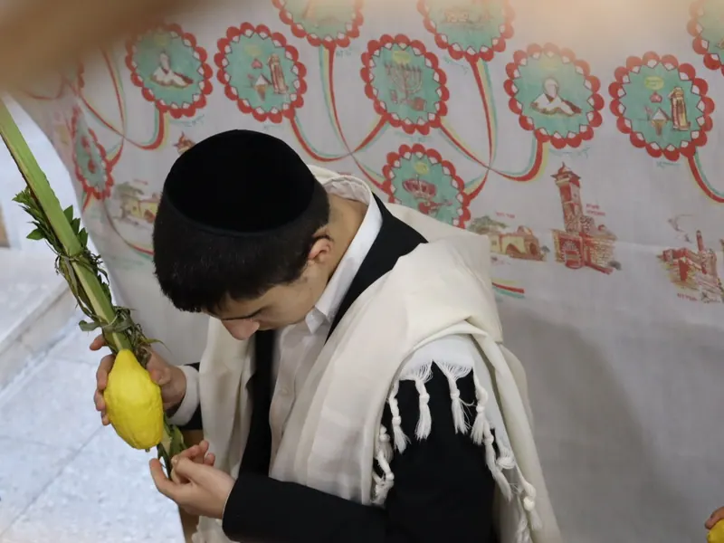 נער עטוף טלית אוחז לולב ואתרוג ומשפיל מבט, על רקע בד סוכה מעוטר.