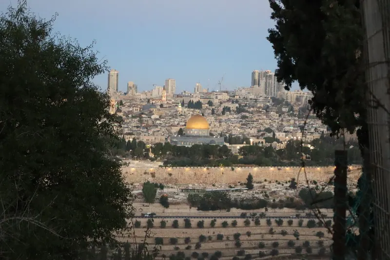 כיפת הסלע וחומת העיר העתיקה המוארת בדמדומים, ממוסגרות בין עצים כהים על הר הזיתים.