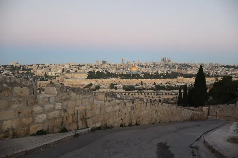 כביש מתעקל לצד חומת אבן ועצי ברוש בהר הזיתים, ומעבר לעמק העיר העתיקה וכיפת הסלע באור הערב.