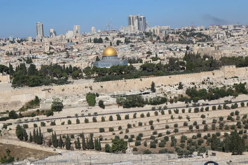 כיפת הסלע המוזהבת מעל חומת העיר העתיקה, ולמטה מדרון בית הקברות בהר הזיתים עם שורות עצי זית וברושים.