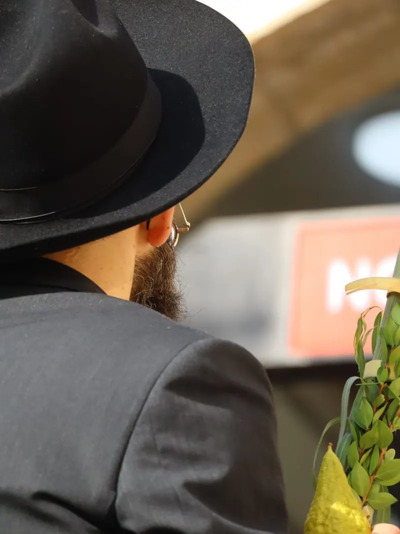 גבר בכובע שחור ובזקן, מגבו, אוחז לולב, הדסים ואתרוג.