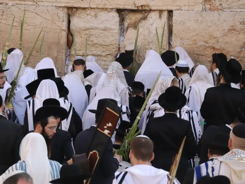 מתפללים עטופי טליתות וחובשי כובעים שחורים עומדים צפופים מול הכותל, חלקם אוחזים לולבים, מצולמים מאחור.