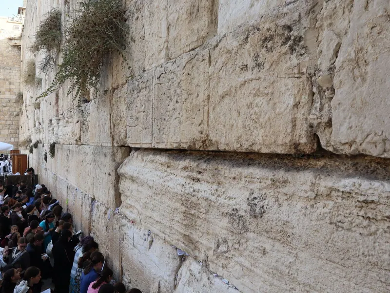 אבני הכותל המערבי הגדולות, עם שיחים הצומחים בין הנדבכים, ולמרגלותיו נשים מתפללות בעזרת הנשים.