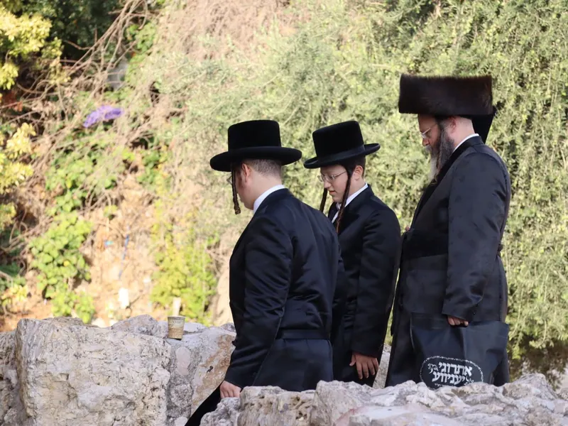 שלושה גברים חרדים, שניים בכובעים שחורים ואחד בשטריימל, צועדים לאורך סלעים וצמחייה ירוקה.