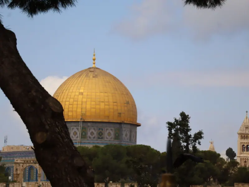 כיפת הסלע המוזהבת בין גזע וענפי אורן, ומימין מגדל פעמונים של כנסייה; ציפור חולפת בקדמת התמונה.