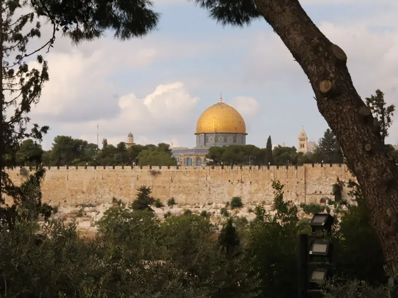 חומת העיר העתיקה ומעליה כיפת הסלע המוזהבת, ממוסגרות בין גזעי עצים, מעל מדרון ירוק ותחת שמיים מעוננים.