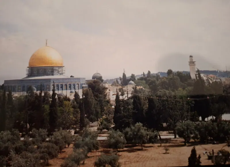 כיפת הסלע המוזהבת בין עצי ברוש וזית ברחבת הר הבית, ומאחוריה כיפה אפורה, צריח ורכס הרים.
