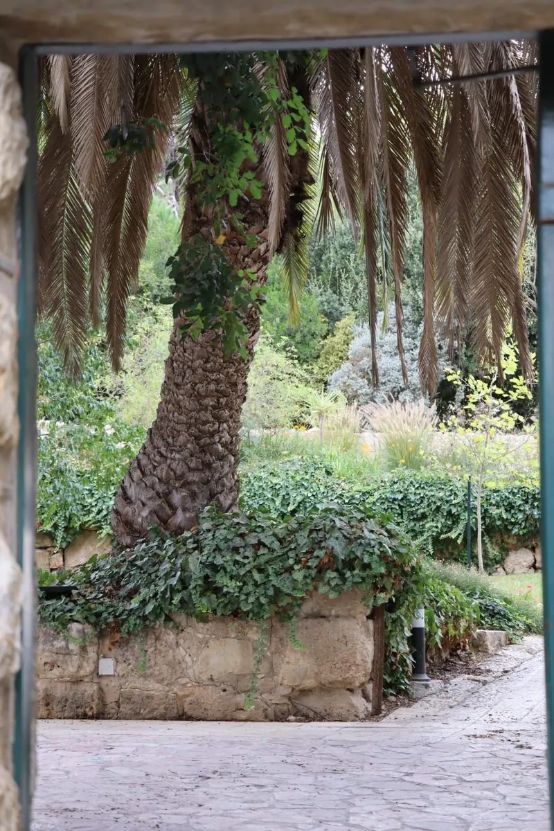 פתח אבן המשקיף אל גן ובו דקל גבוה ושיחים.