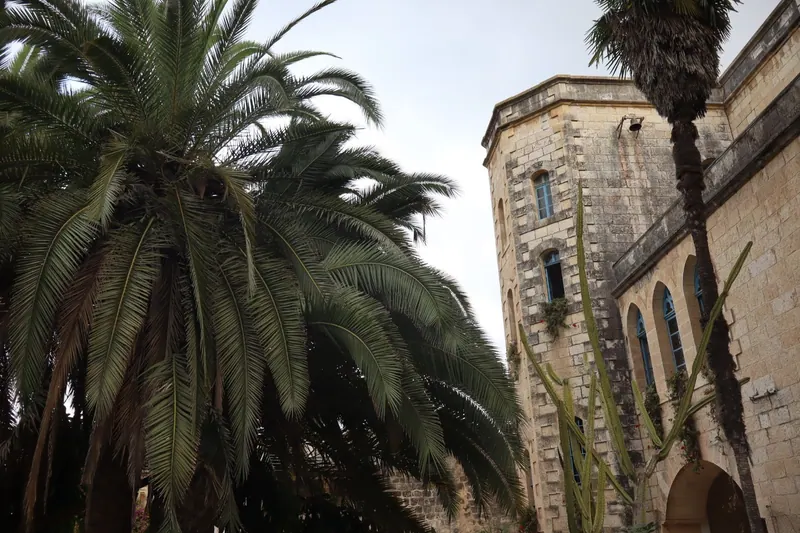 דקל רחב ענפים לצד מגדל אבן מתומן עם חלונות קשתיים כחולים, ושיח קקטוס עולה לאורך הקיר.