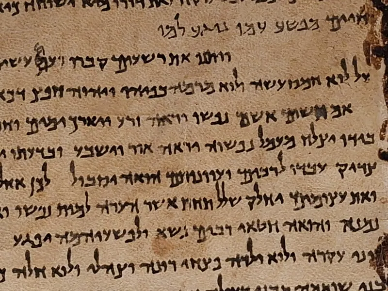 תקריב של שורות כתב עברי בדיו שחורה על קלף בהיר, וקצה הקלף כהה ומחורר.